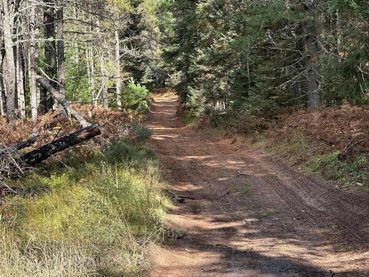 FS 2717 Part 1 trail photo