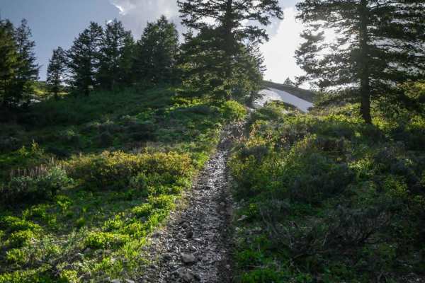 North Weston Peak 7444