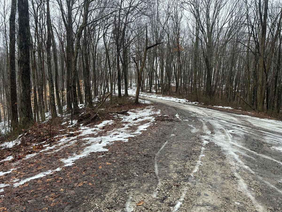 Big Branch 3044 trail photo