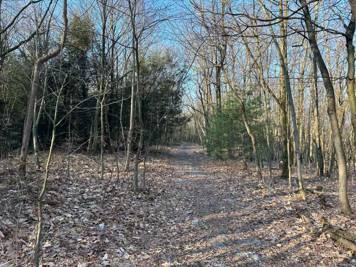 Tower City 17 trail photo