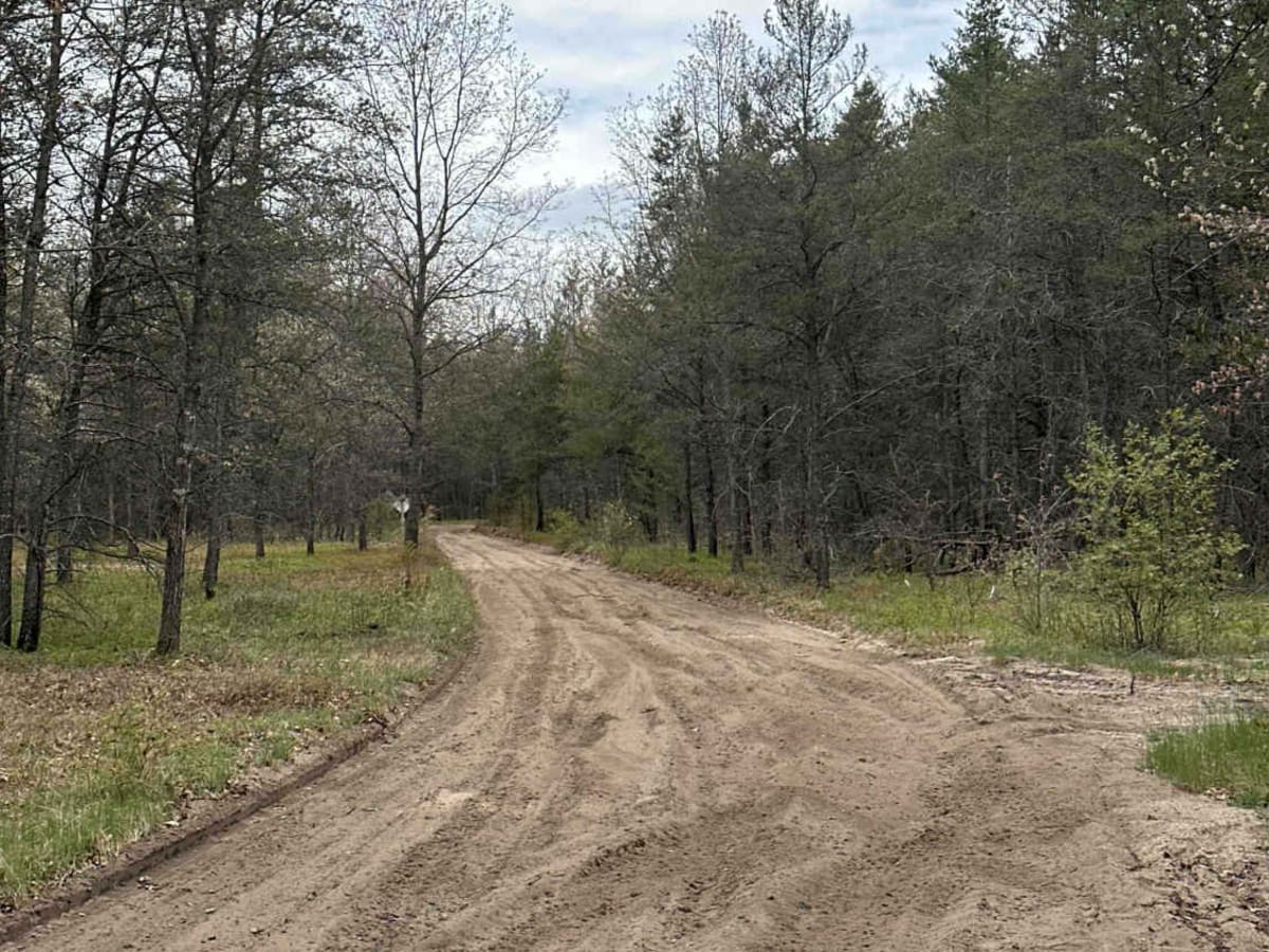 H9 Grass Lake to FS 4194 photo 4