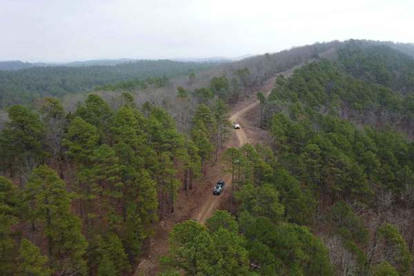 Holly Mountain Trail