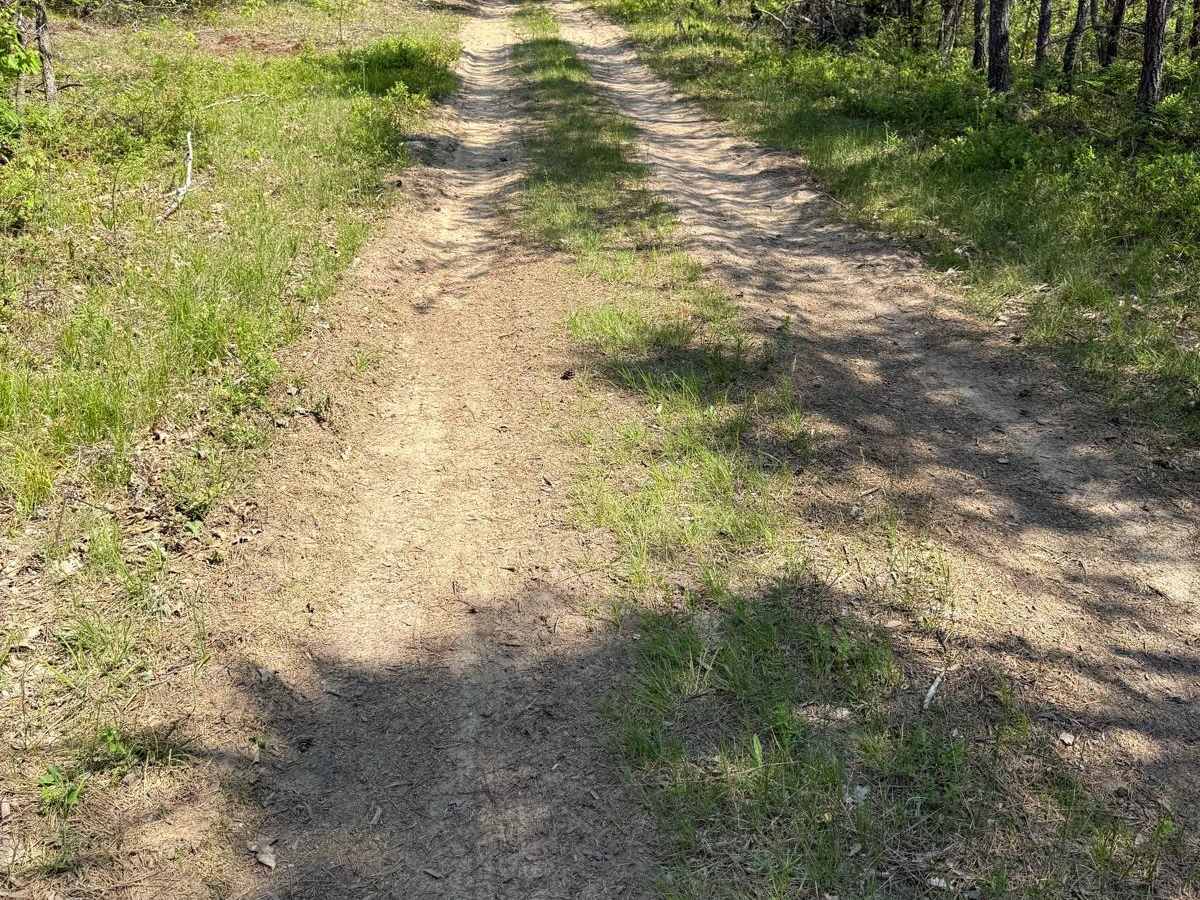 County Meadow Trail photo 4