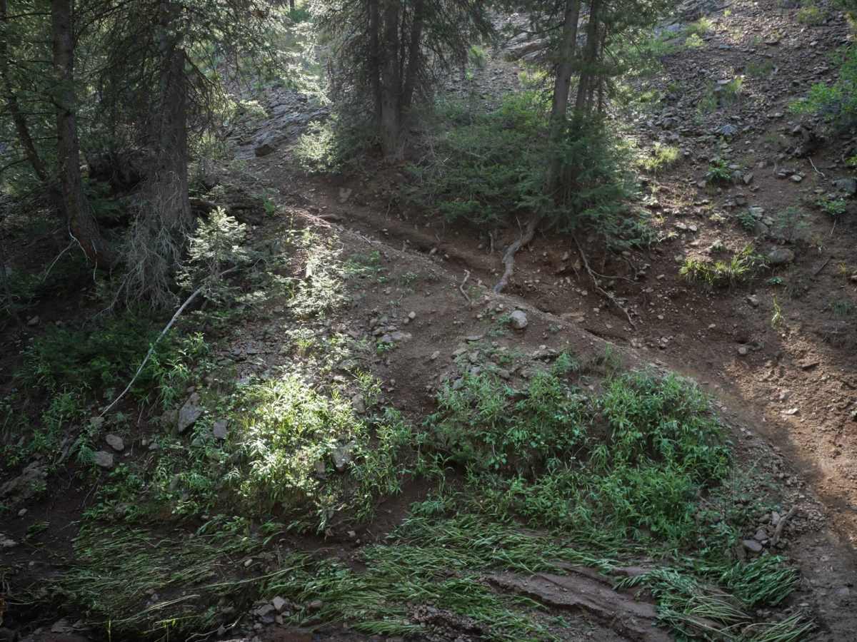 Peach Muley Cutoff photo 5