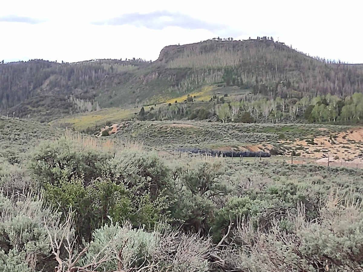 Box Creek Road (FS# 40069) photo 5