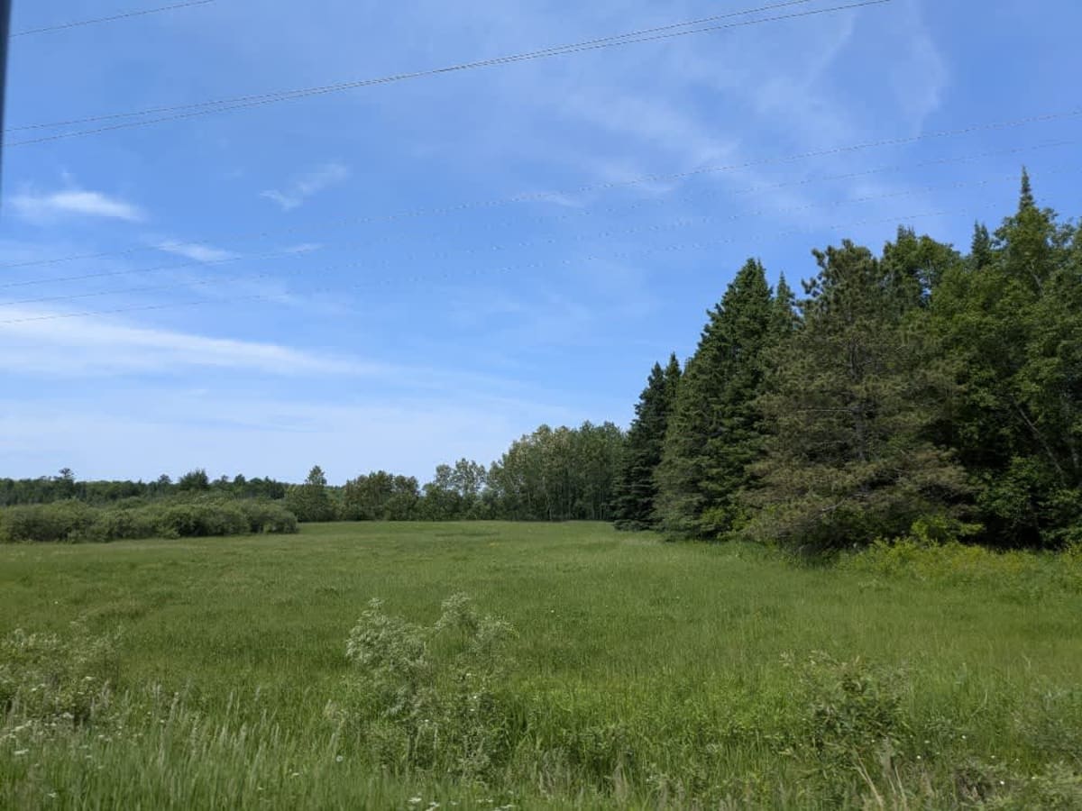 Country Road 127 photo 6
