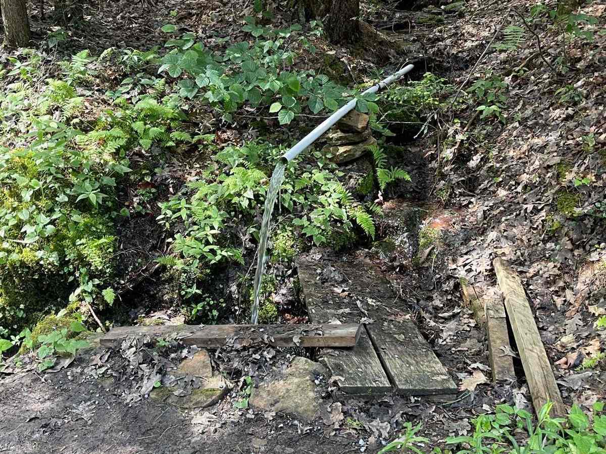 Mill Branch Road photo 5