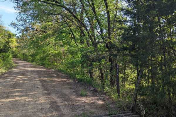 McMurtery Hollow
