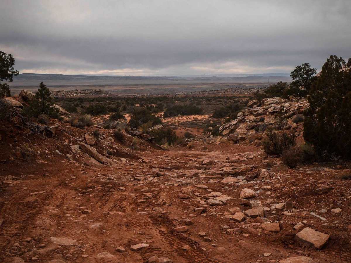 Baby Steps trail photo