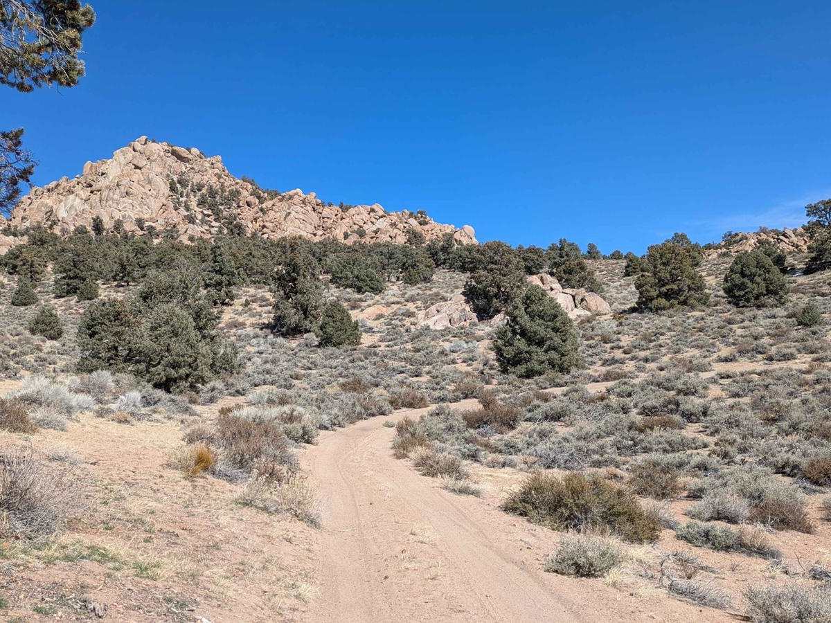 Casa Diablo Mountain FS S134 photo 2