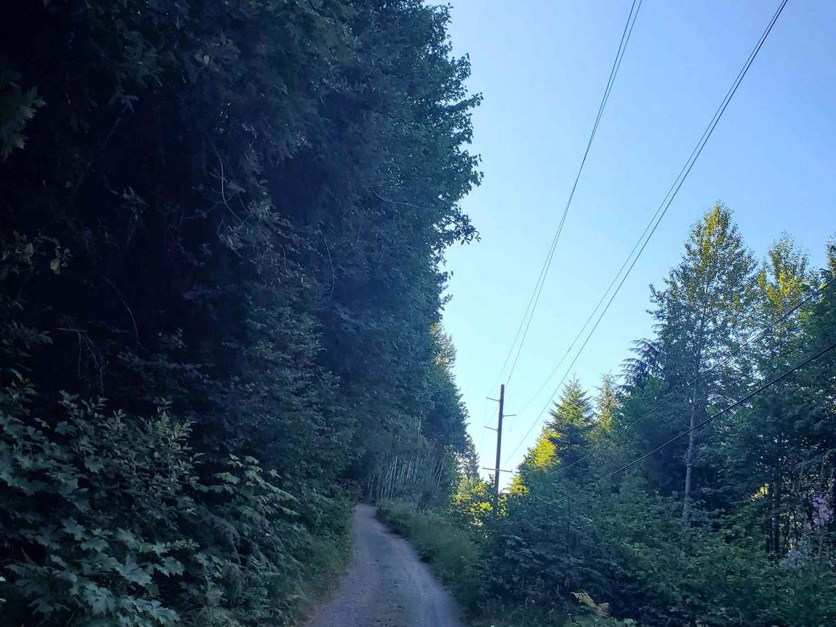 Road to Zigzag Mountain Hiking Trail photo 5