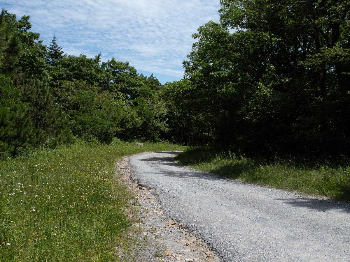 FR 19 trail photo