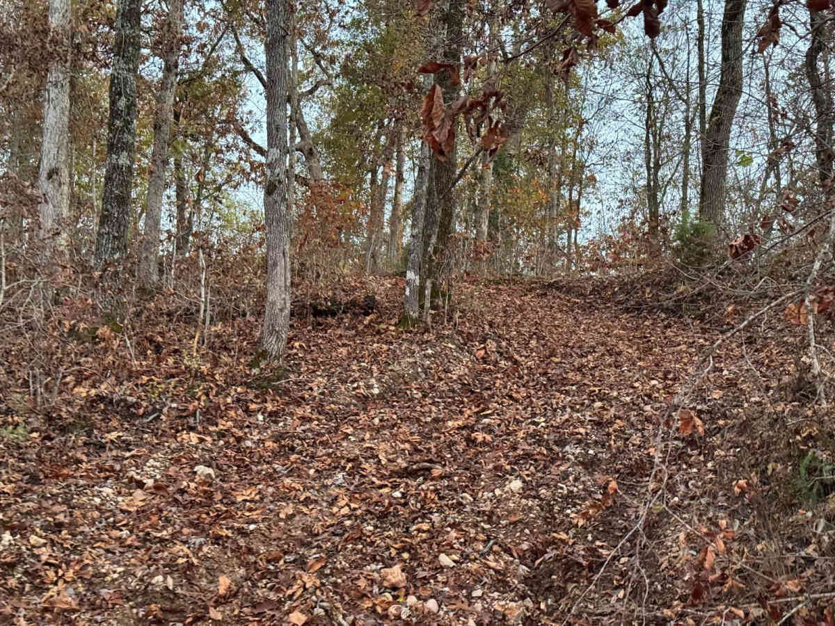 Red 161 photo 3