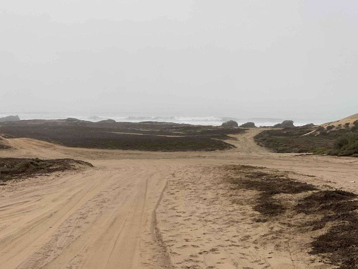 Coastal Route La Chorera photo 2