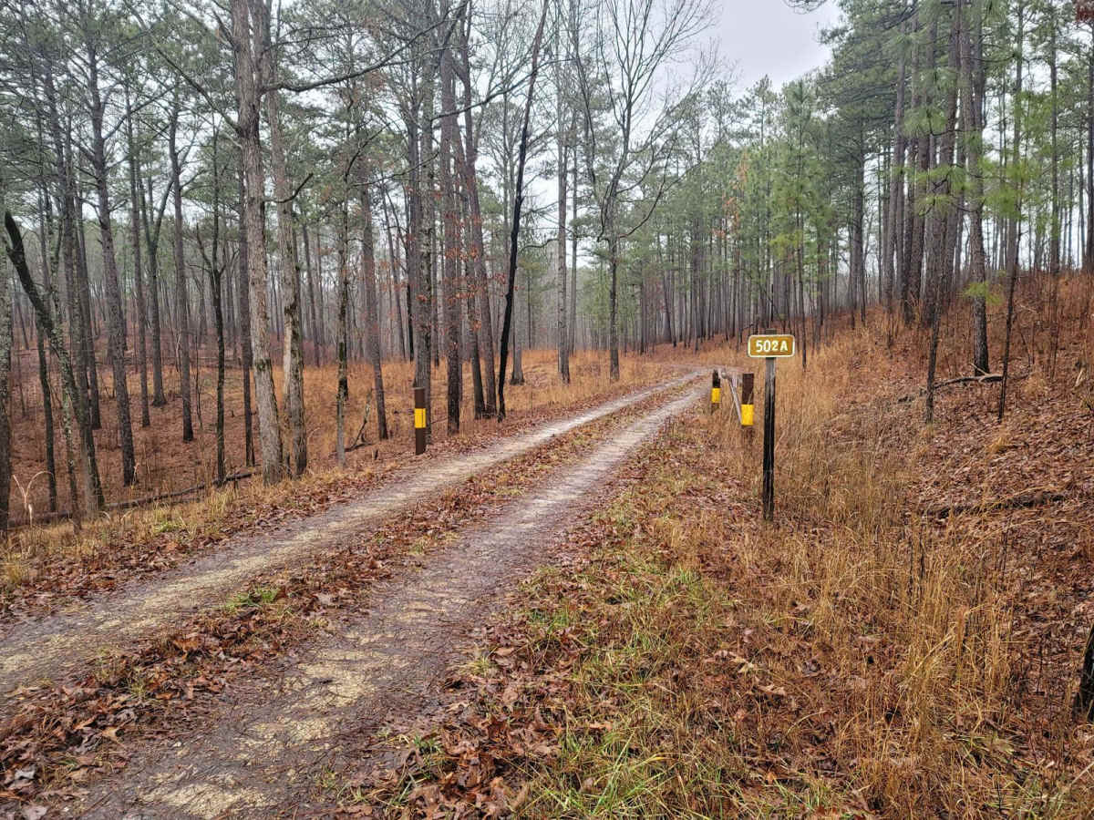 USFSR #502A - Old Telephone Line trail photo