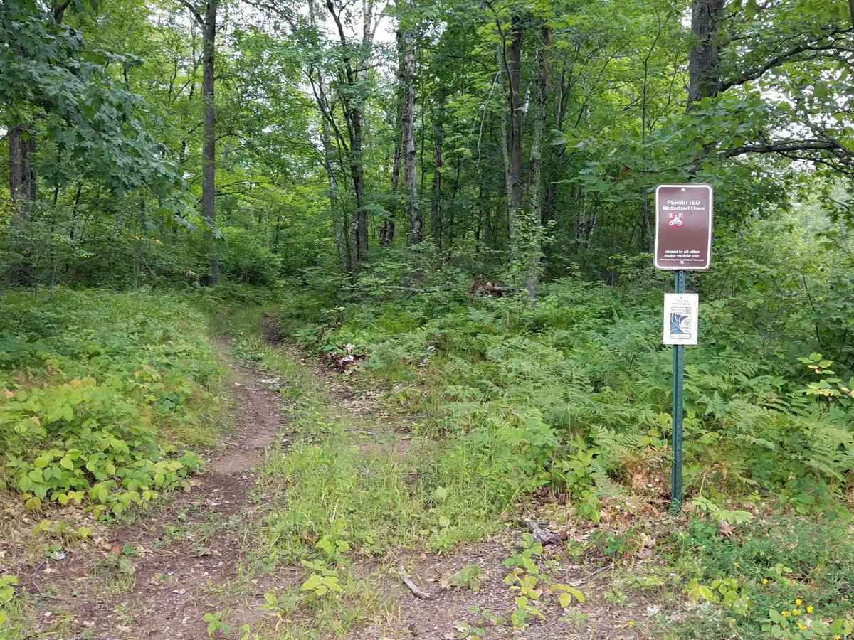 Plantation Loop photo 3