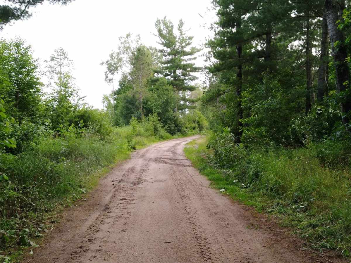 Moose River Connector Trail photo 4