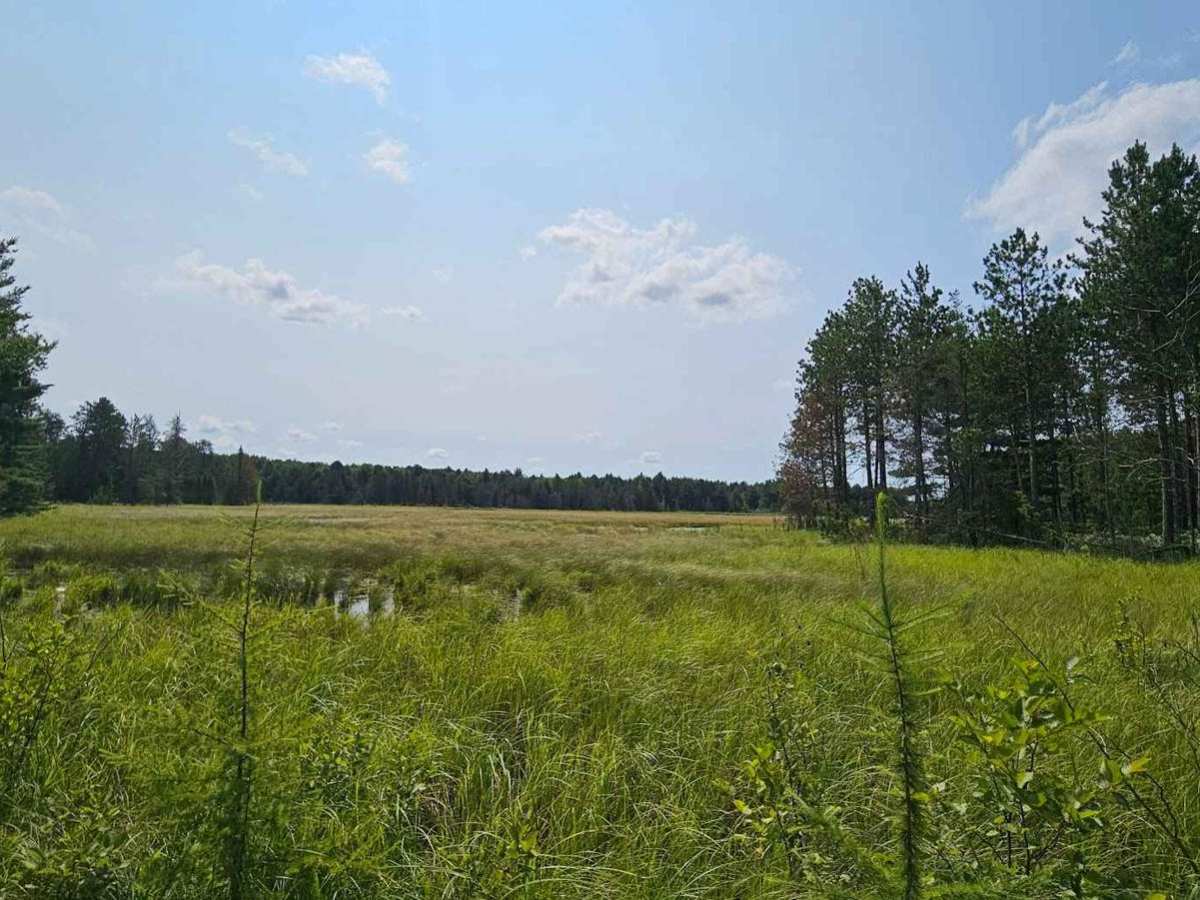 Peaceful Camping trail photo