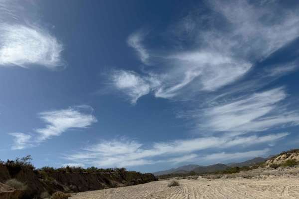 Las Palapas Wash