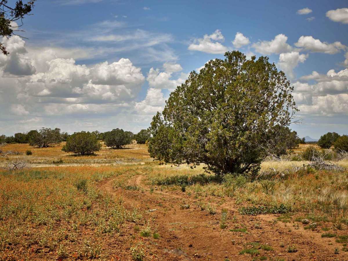 Prairie Loop trail photo