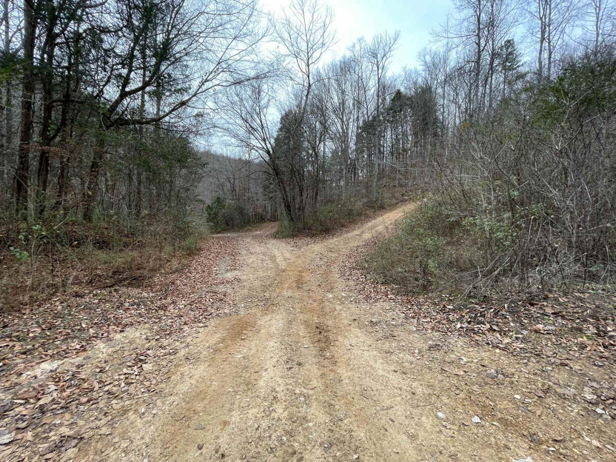 Betsy Gap Trail photo 6
