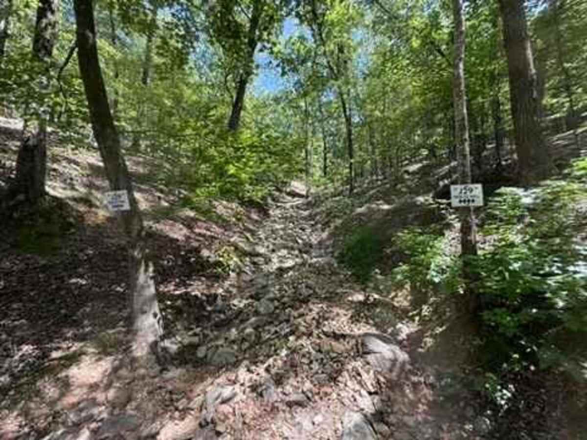 J29 Holtz Hill trail photo