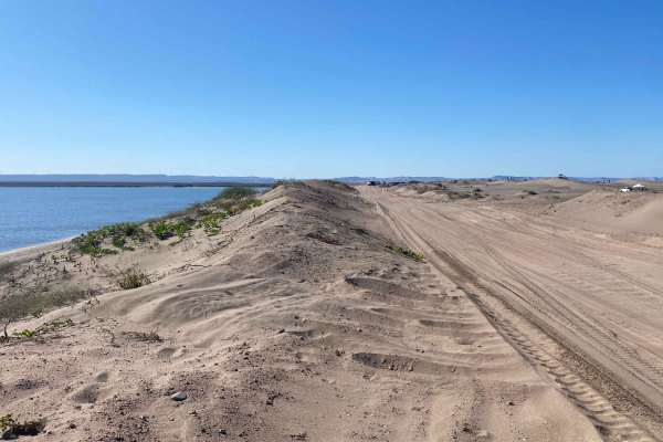 Dunas Del Mogote
