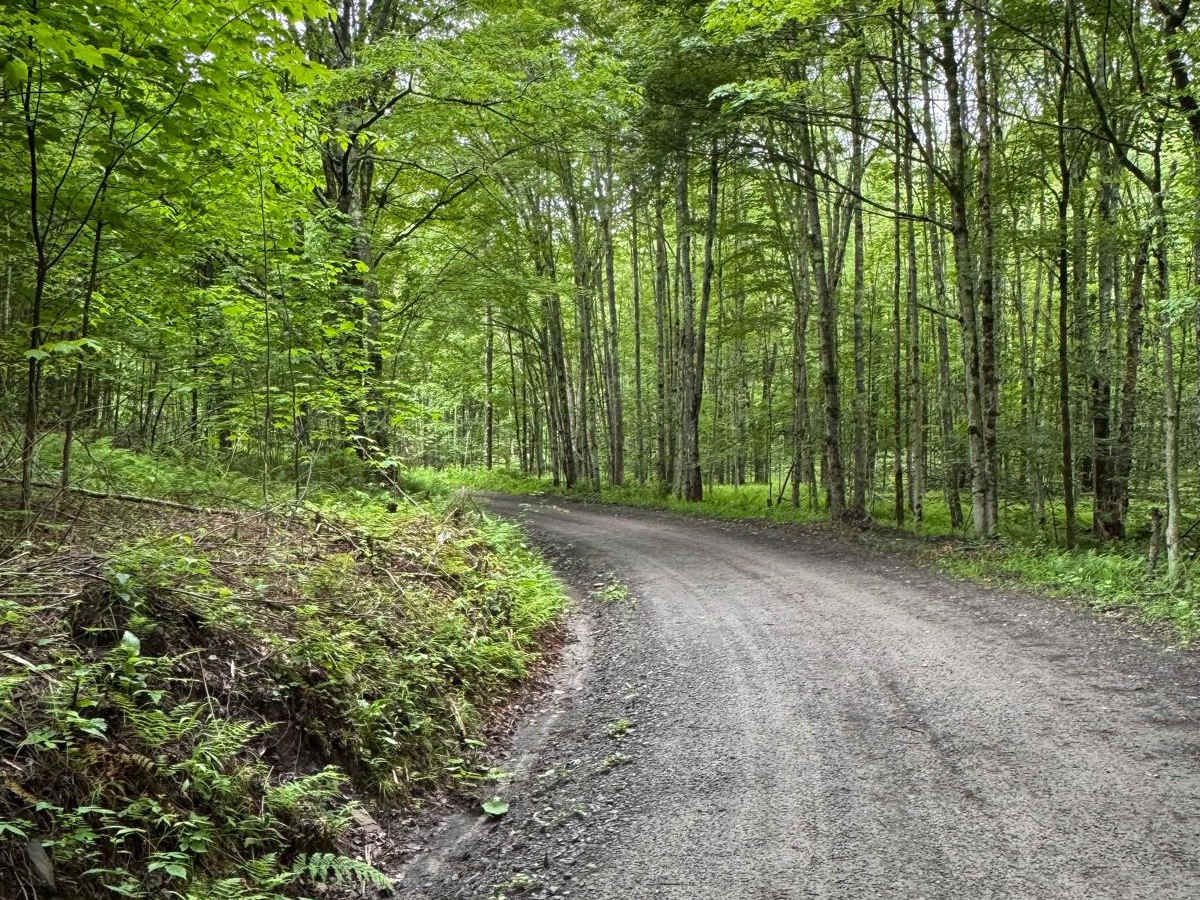 Behrmann Hill Road photo 2