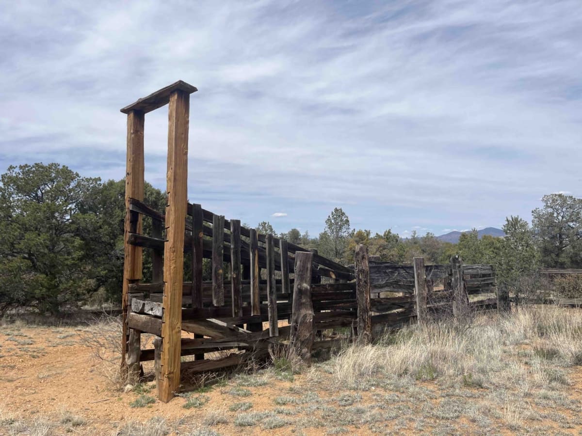 Willow Creek/Shrine Mine Road trail photo
