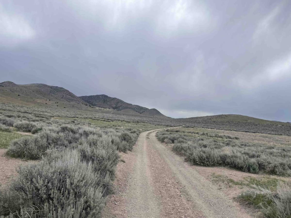 The Open Range photo 3