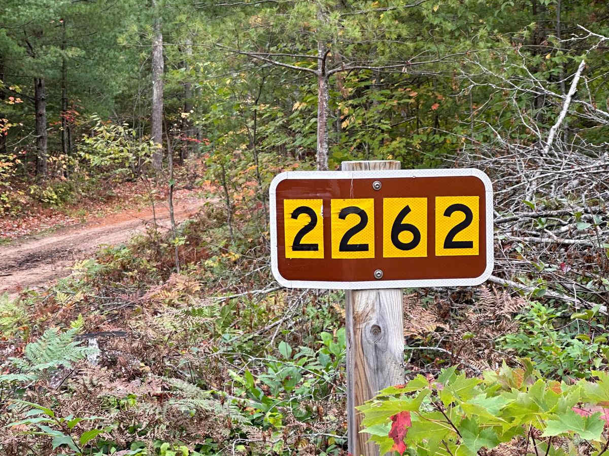 Widewaters Campgrounds - FS 2262 trail photo
