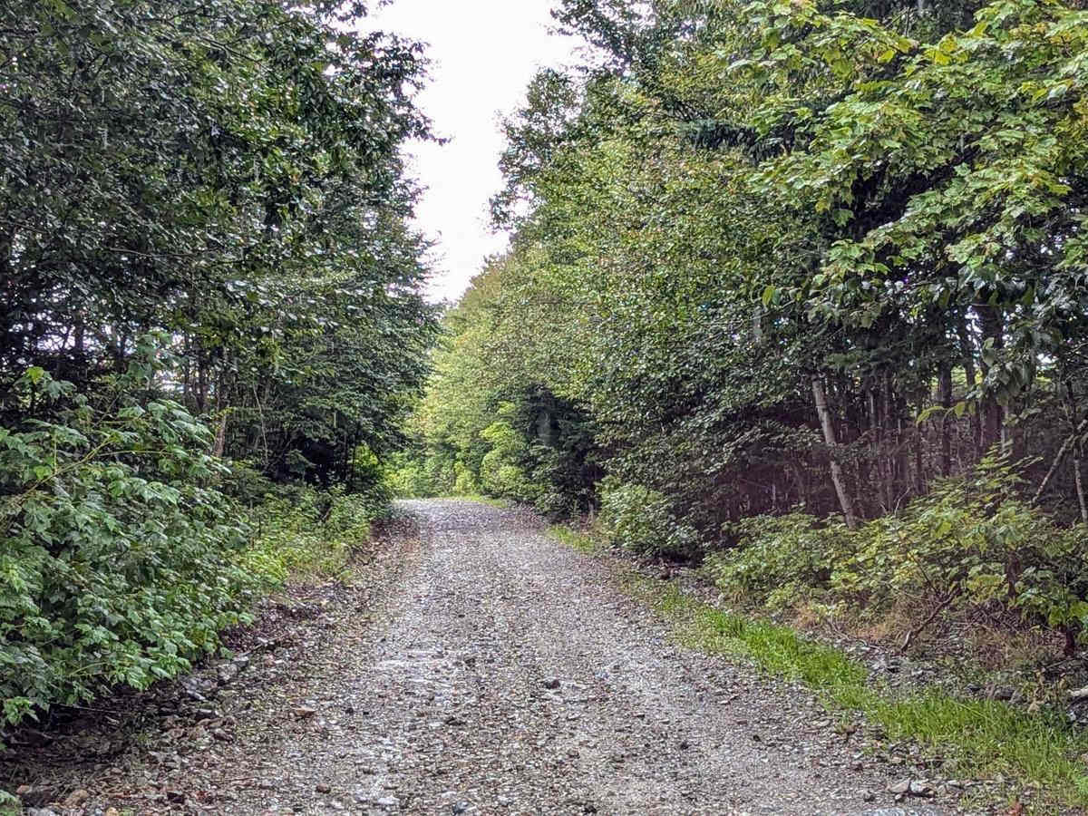 Browns Mountain Road photo 5