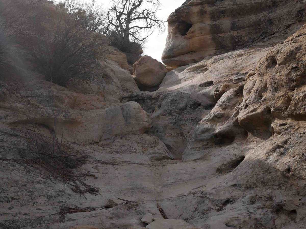Beaver Falls trail photo