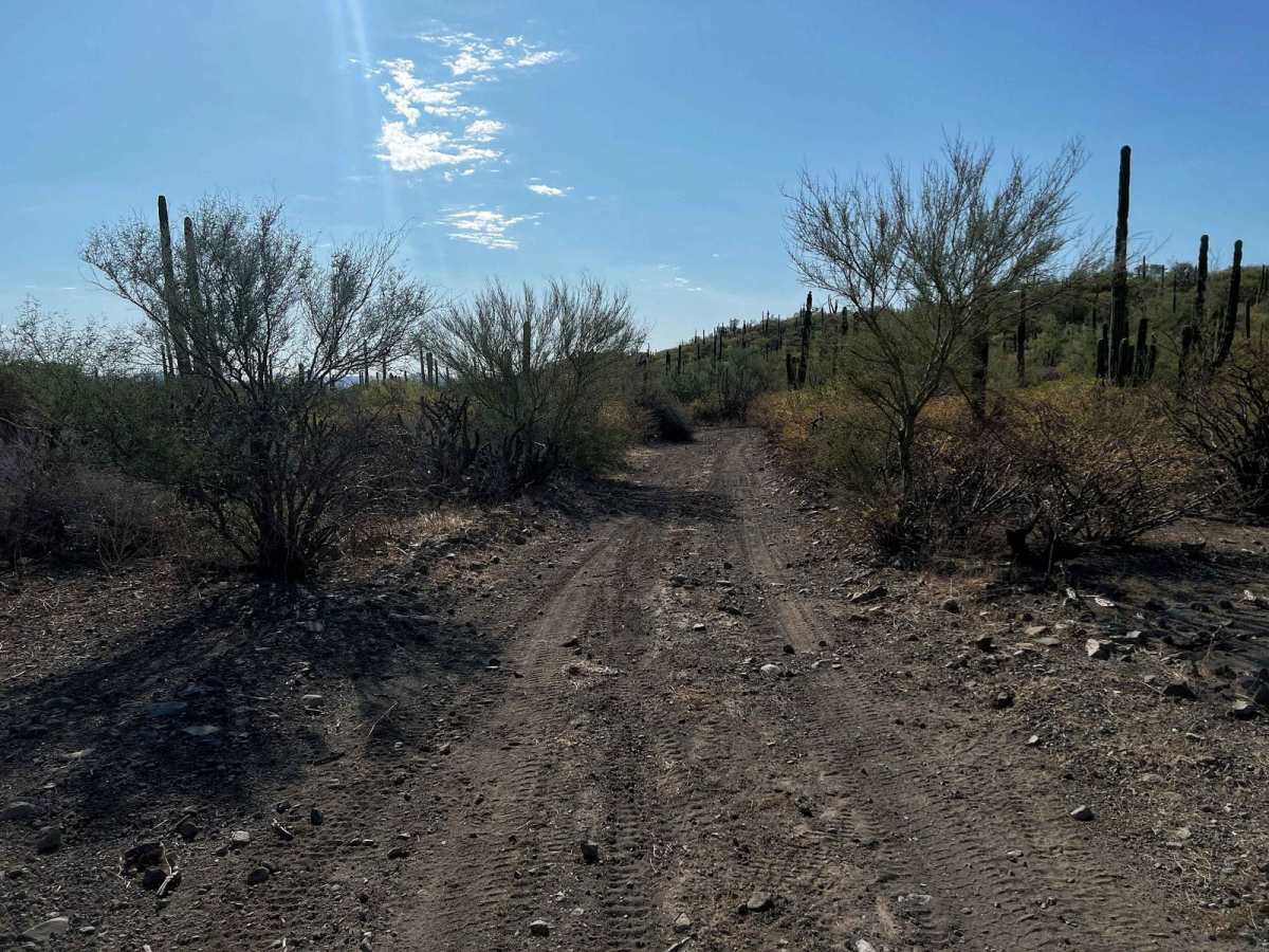 Baja El Bajo Km 810 photo 5