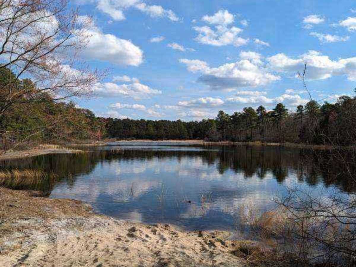Marcus Trail photo 4