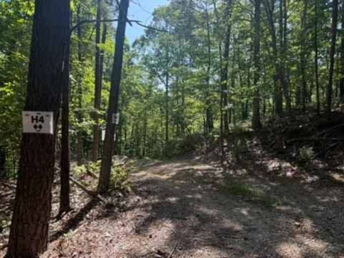 H4 trail photo
