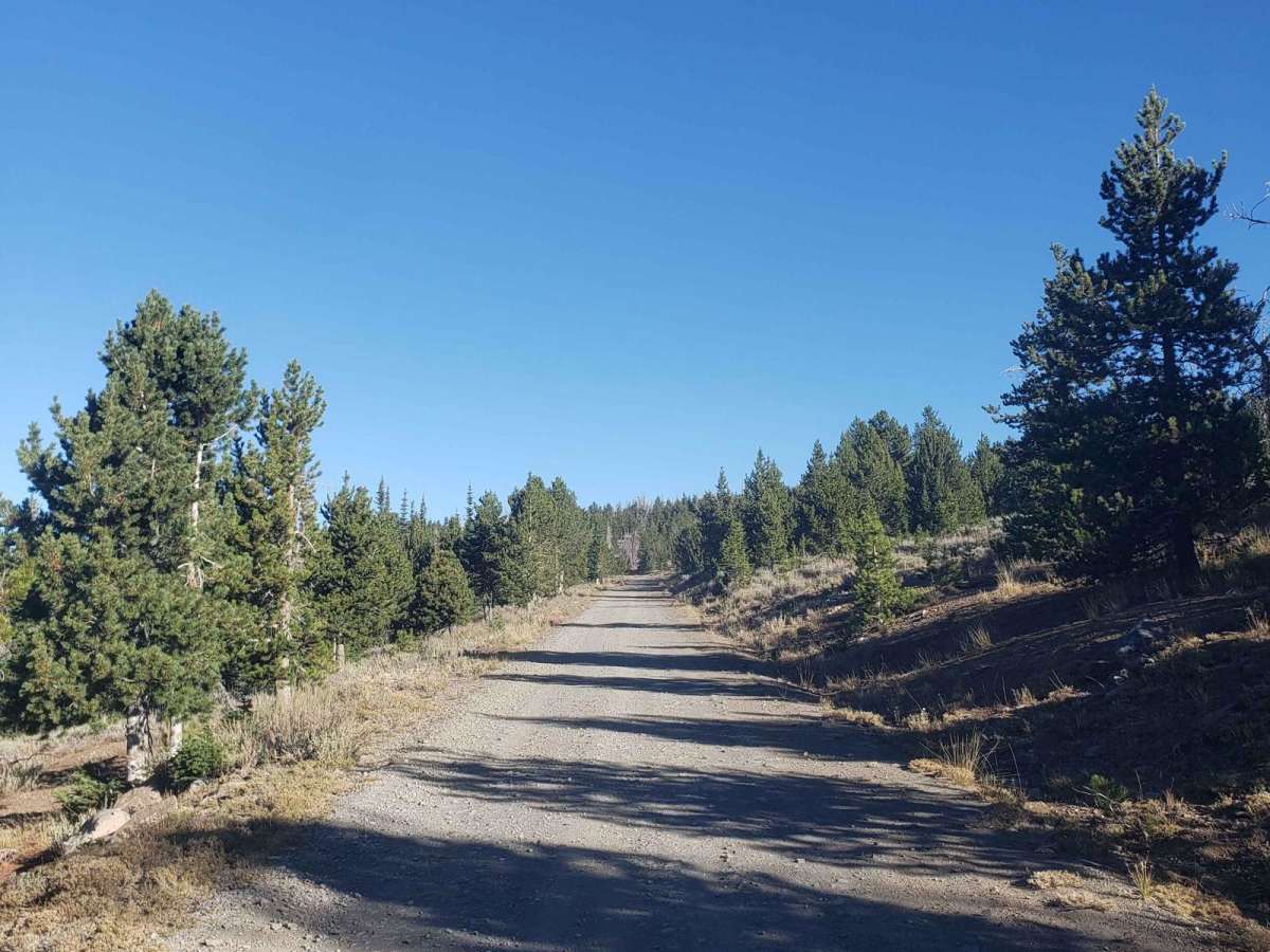 High Lake Road photo 6