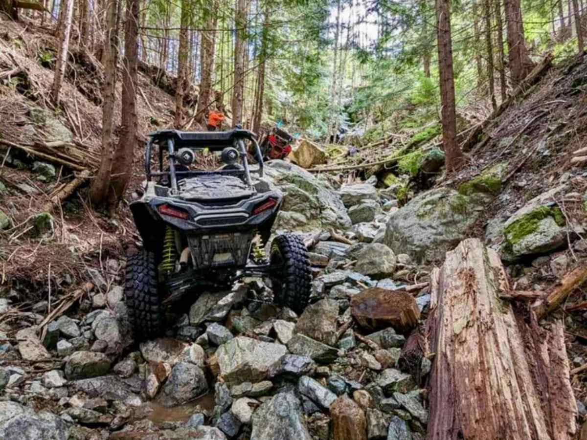Lunch Money trail photo