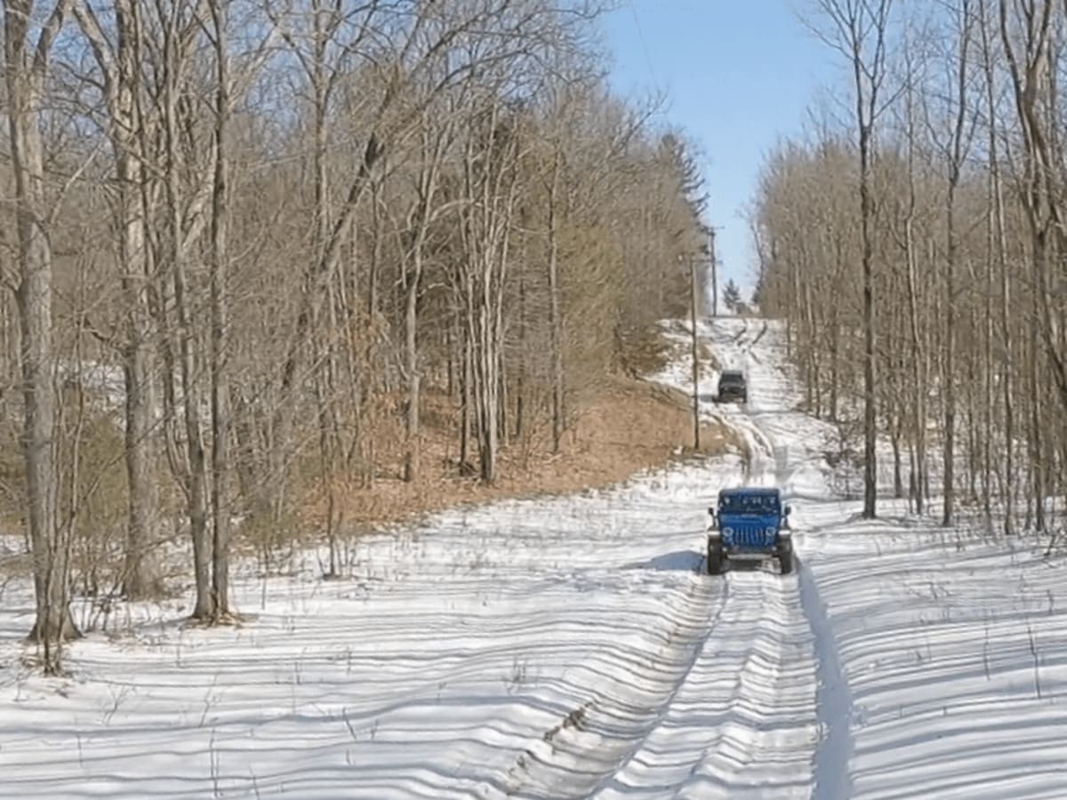 Portage Lake Fire Tower Trail photo 3