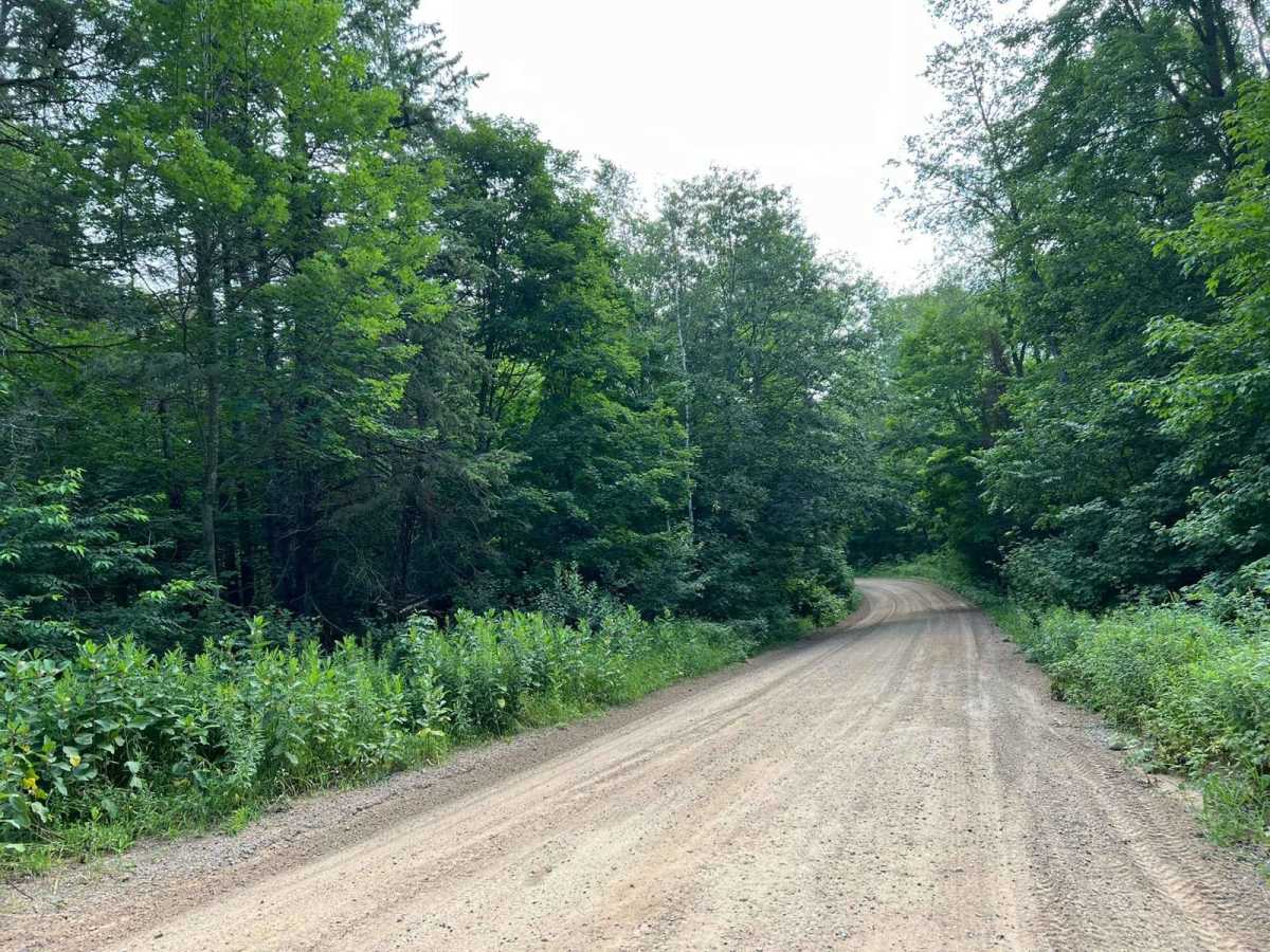 Roberts Lake Road - FS 2144 - Northern Half photo 2
