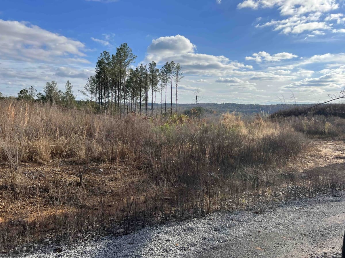 CR339 photo 3