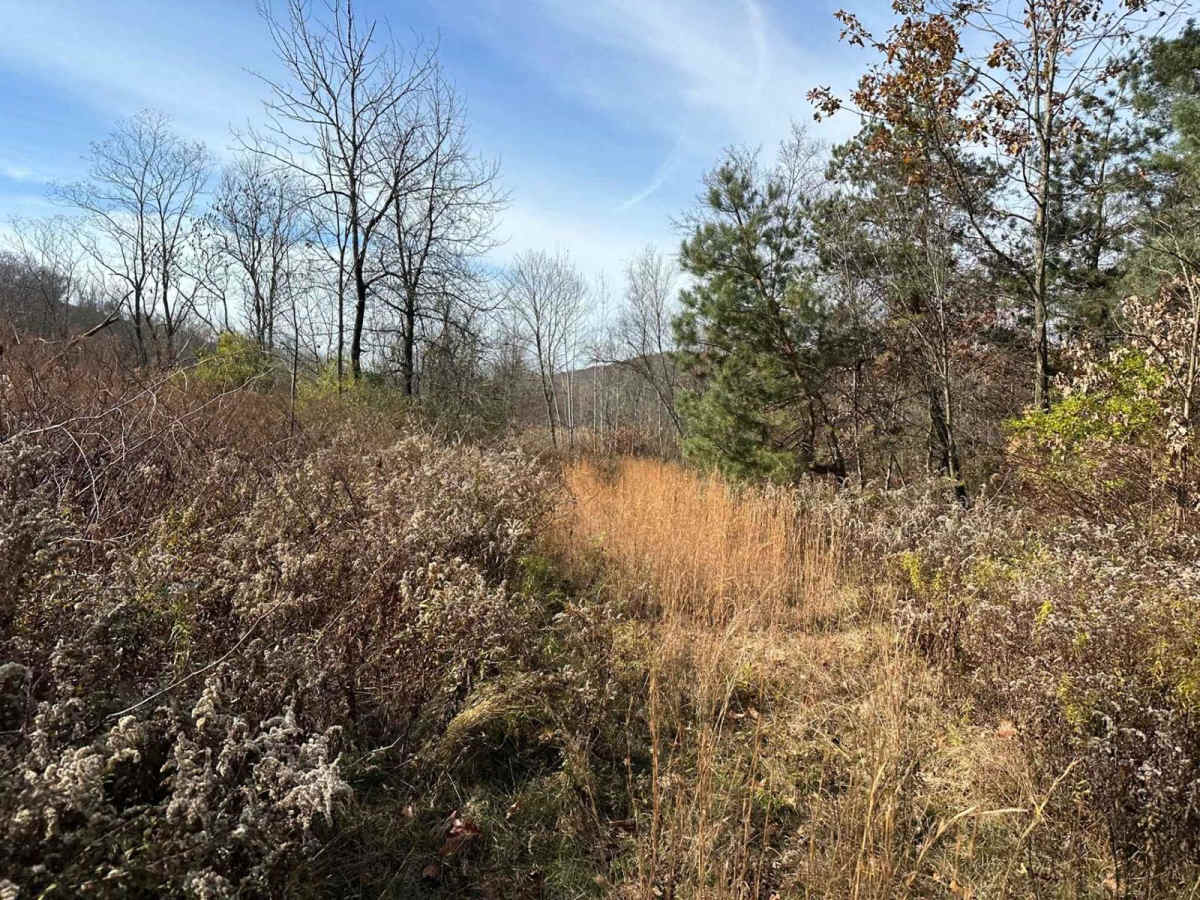Ashland 163 photo 3