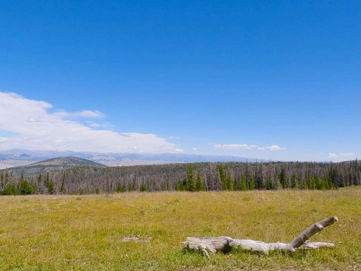 Union Pass photo 3