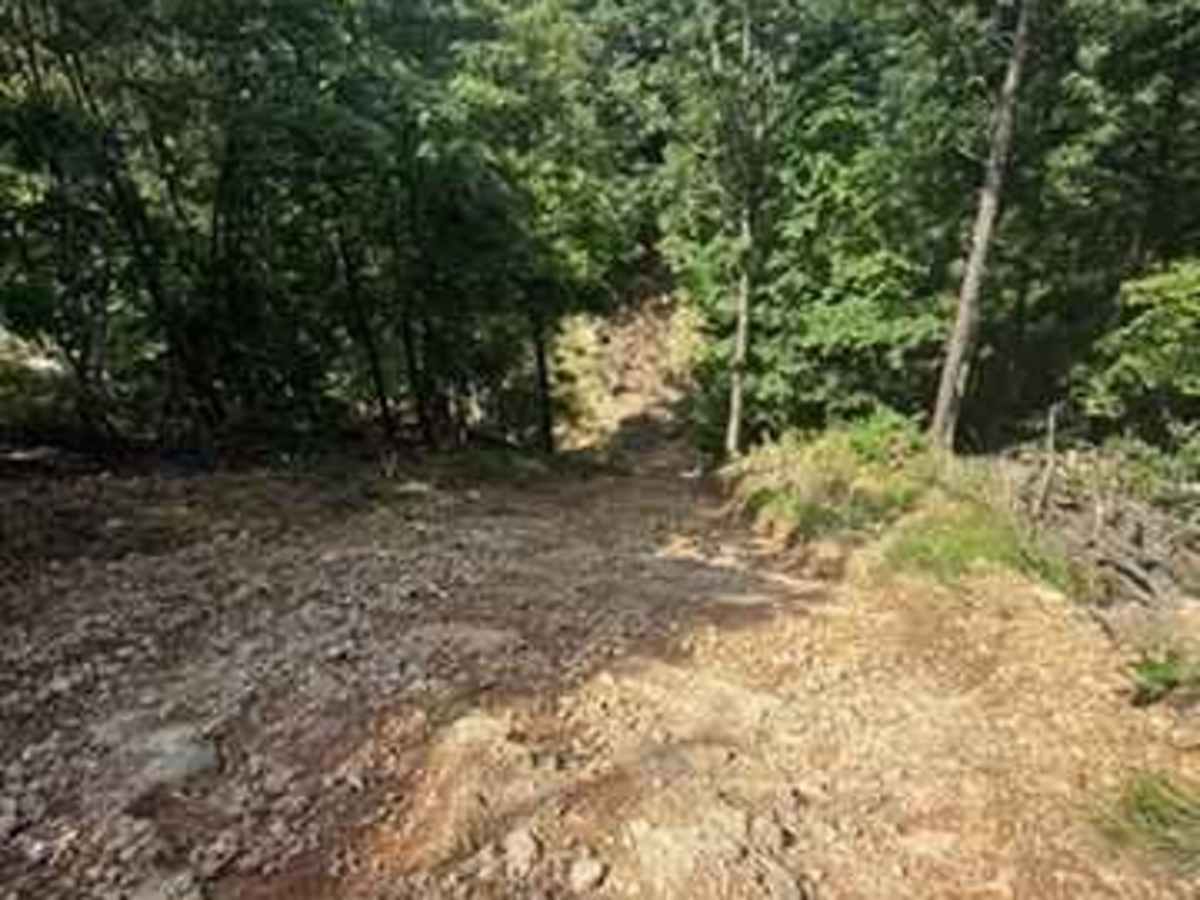 Dale's Trail photo 4