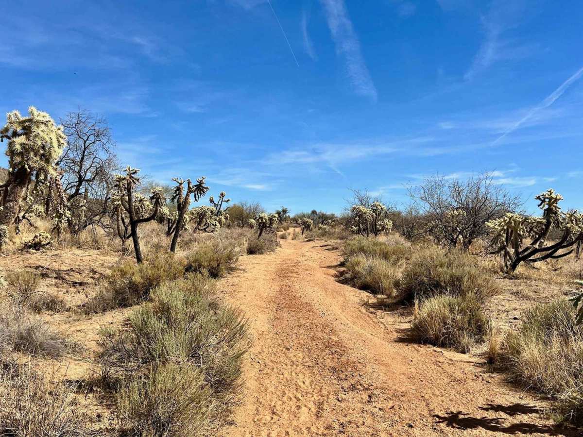 Coyote Peak South photo 3