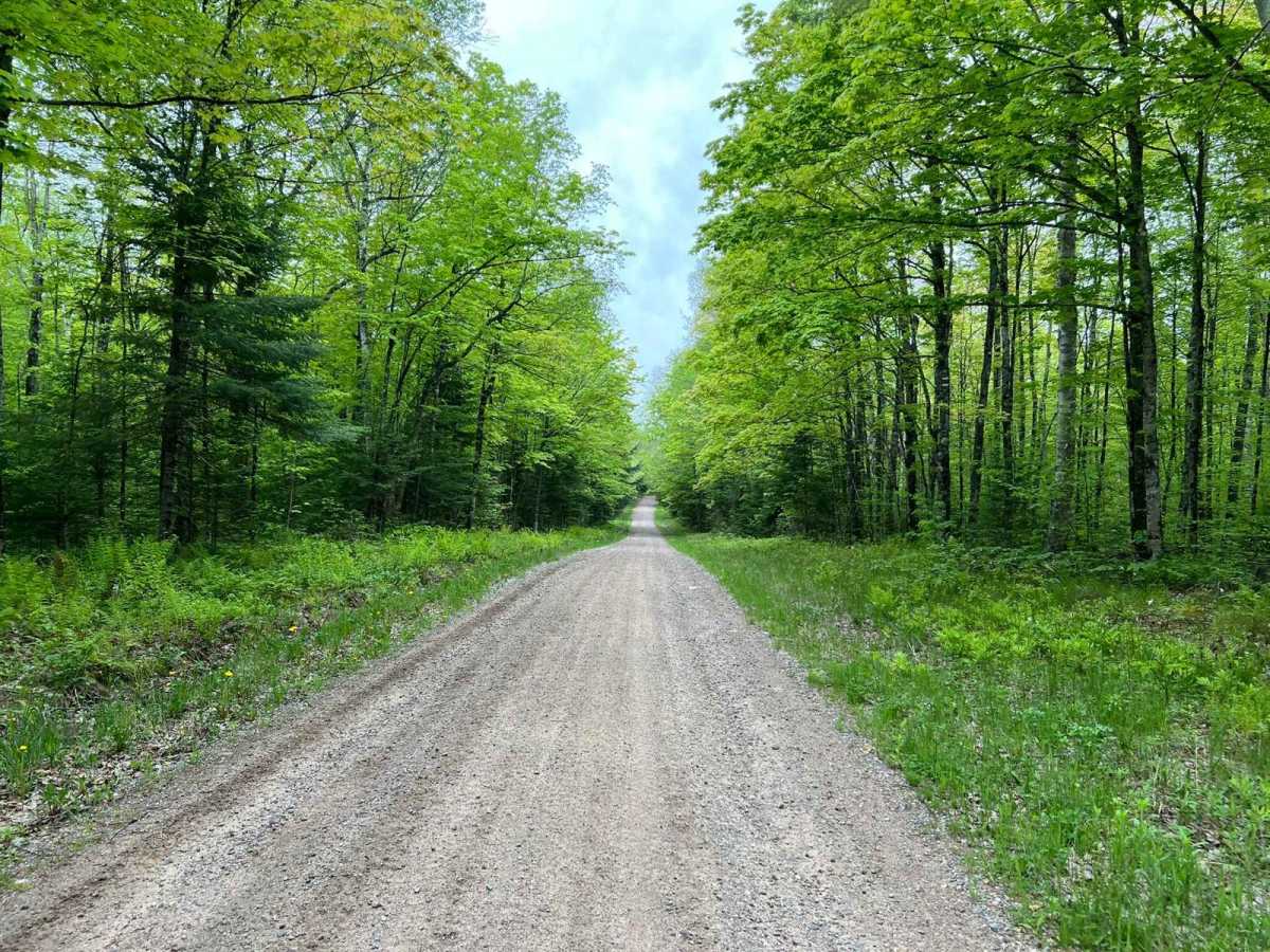 Forest Road 2183 Western Section photo 3