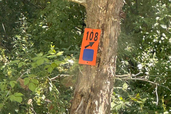 108