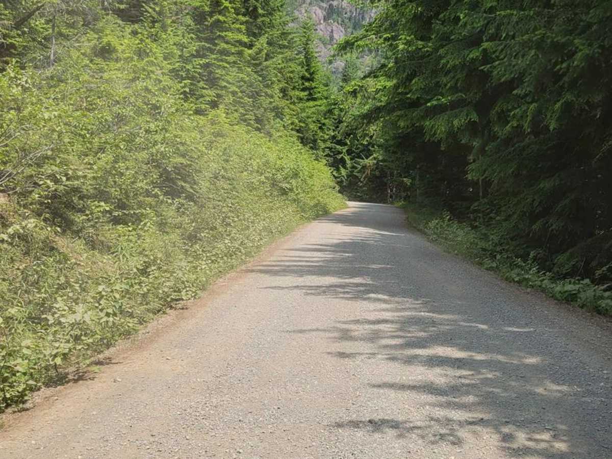 NF 2419 - Mt Ellinor Th photo 6