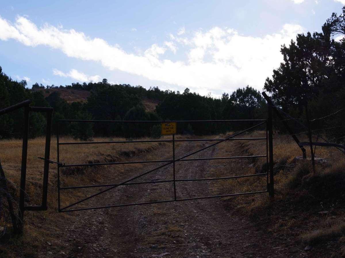 Five Mile Pass trail photo