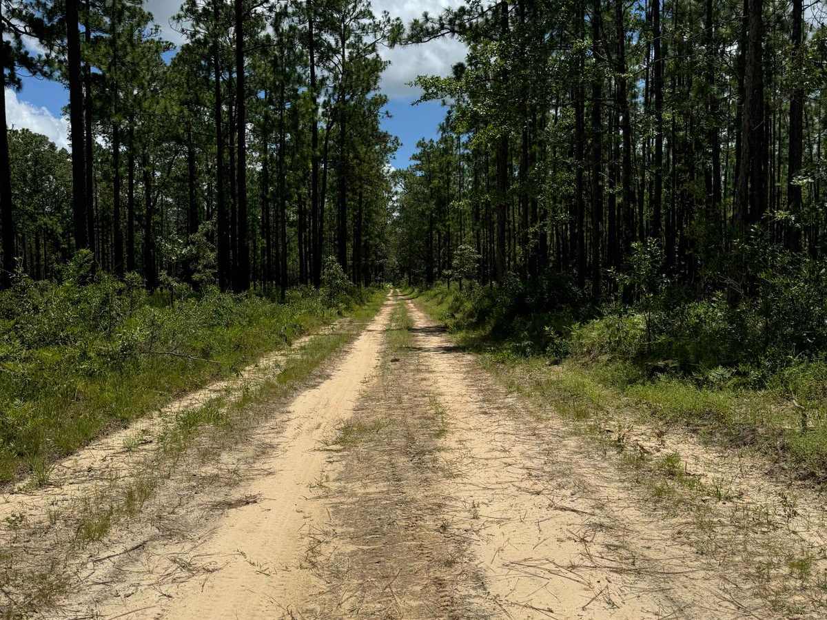 Blackwater River Route 1 photo 6